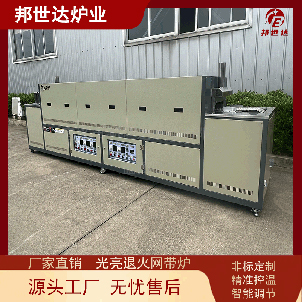 烘干網(wǎng)帶燒結(jié)爐 網(wǎng)帶熱處理爐 光亮退火網(wǎng)帶爐